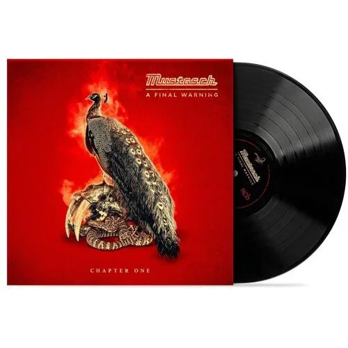 A Final Warning – Chapter One – Vinyl LP