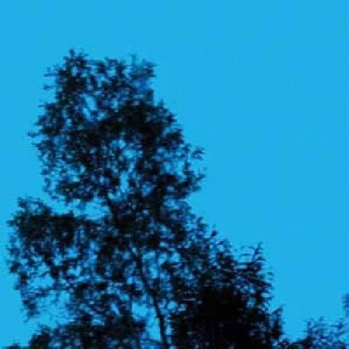 A Republic Of Sadness – Vinyl LP