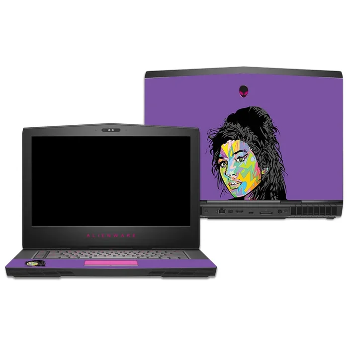 Ames 15″ (2016) Skin