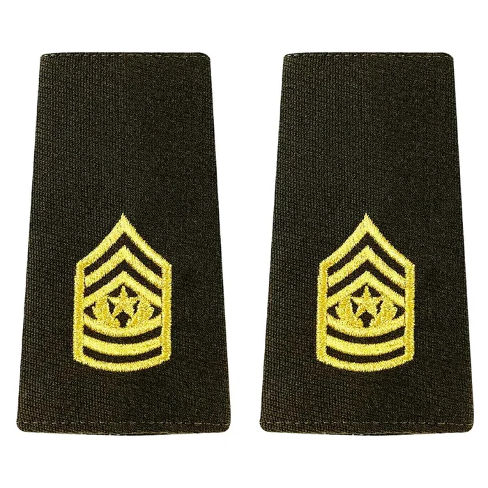 Army AGSU Leather Service Jacket (Bomber) Epaulet: Command Sergeant Major