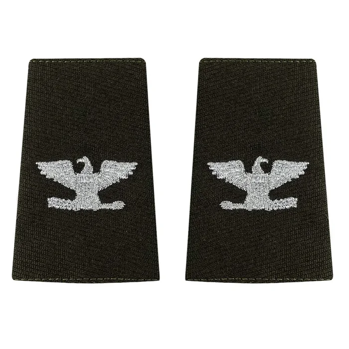 Army AGSU Small Epaulet: Colonel