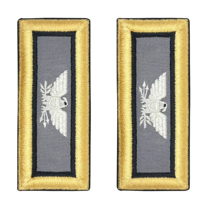 Army Dress Shoulder Strap: Colonel Cyber Warfare- nylon, Female