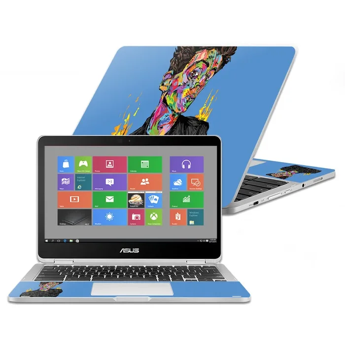 Austrian Painter Chromebook Flip C302CA 12.5″ (2016) Skin