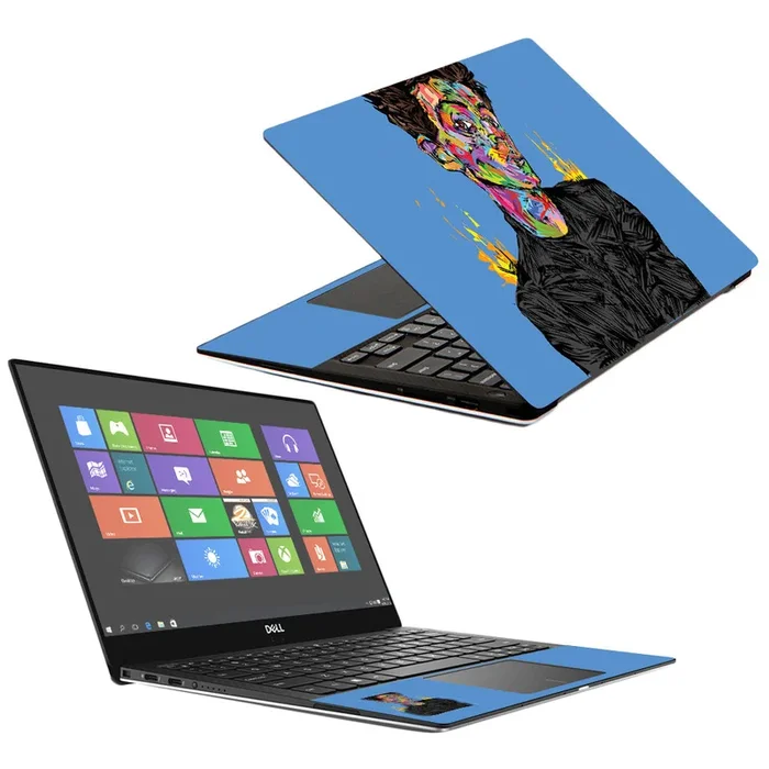 Austrian Painter XPS 13″ 9370 (2018) Skin