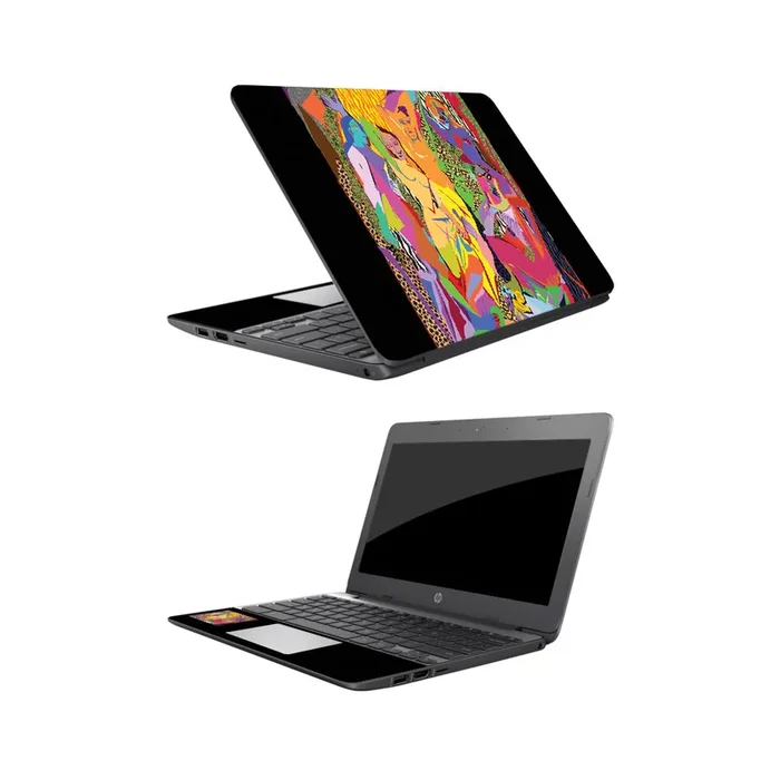 Avignon Chromebook 11.6″ (2018) Skin