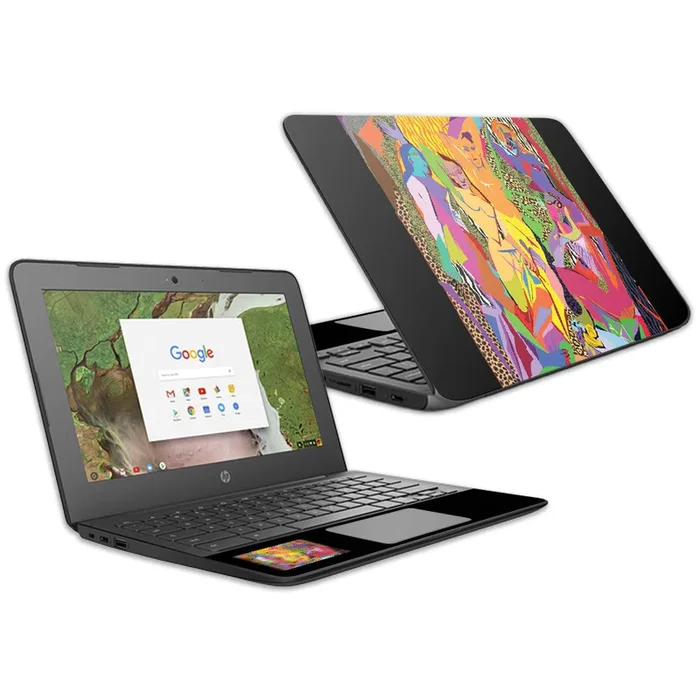 Avignon Chromebook G6 11.6″ (2018) Skin