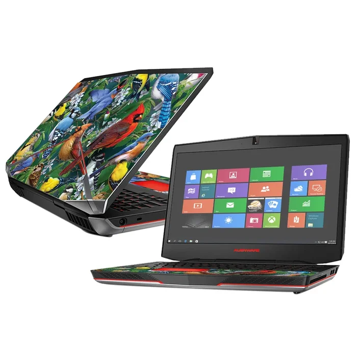 Backyard Gathering 17″ (2015) Skin