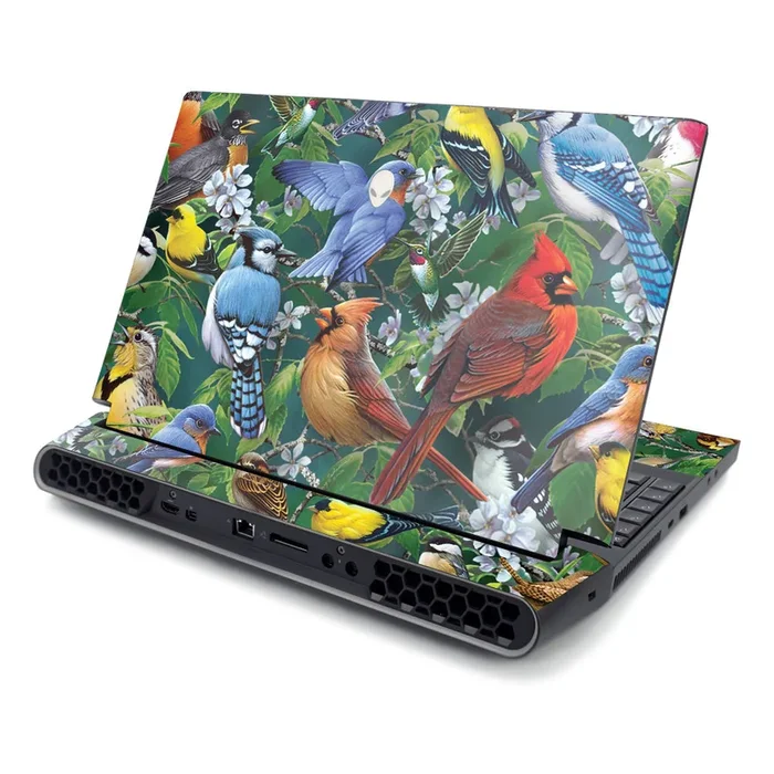 Backyard Gathering Area-51M R2 (2020) Skin