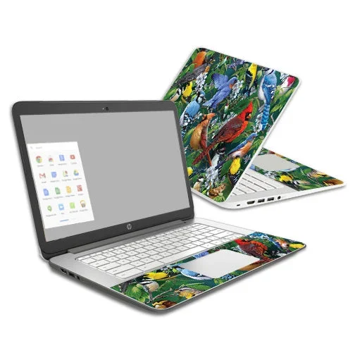 Backyard Gathering Chromebook 14 (2014) Skin
