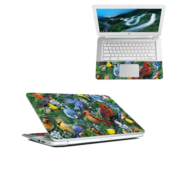 Backyard Gathering Chromebook 14″ (2018) Skin