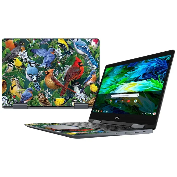 Backyard Gathering Inspiron Chromebook 14″ (2018) Skin