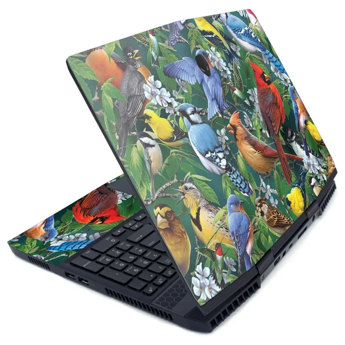 Backyard Gathering M15 (2019) Skin