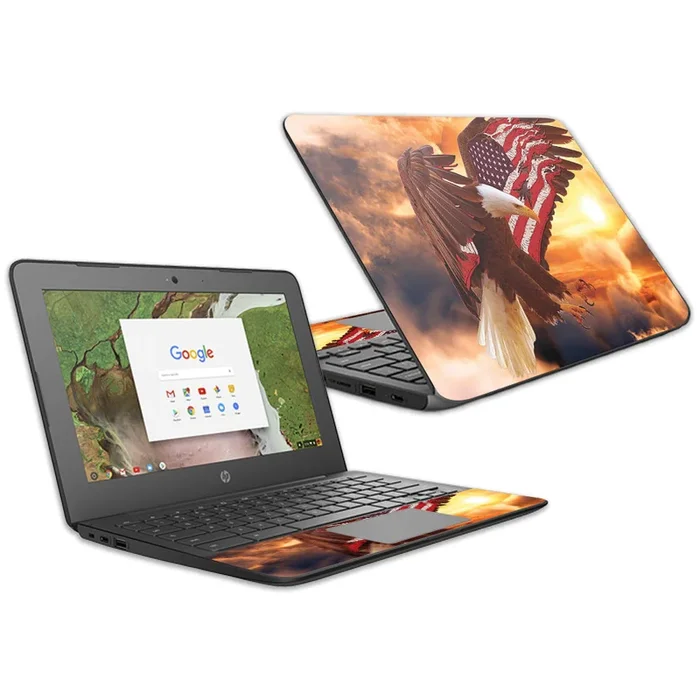 Bald Eagle Chromebook G6 11.6″ (2018) Skin