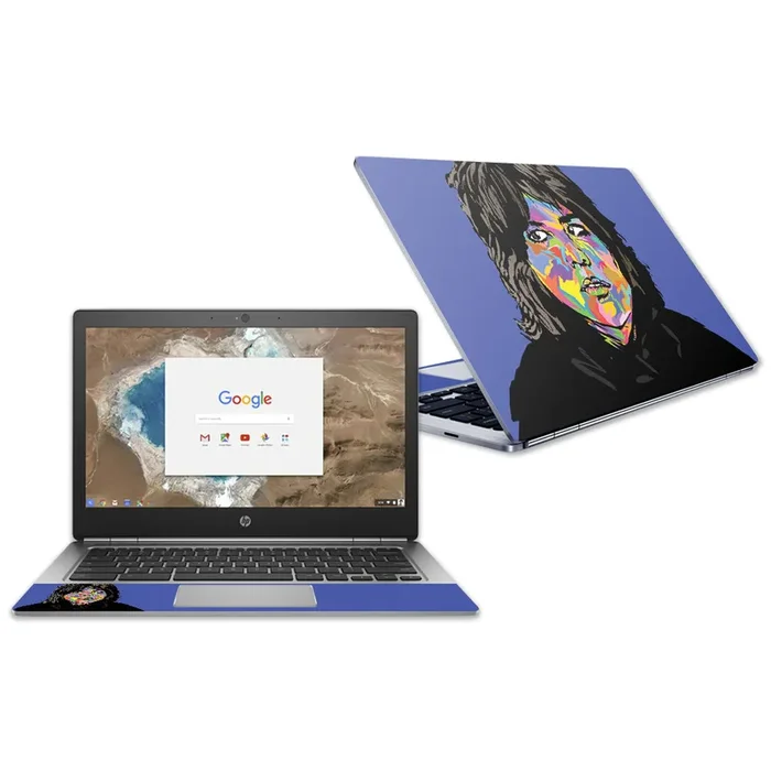 Basket Case Chromebook G1 13.3″ (2018) Skin