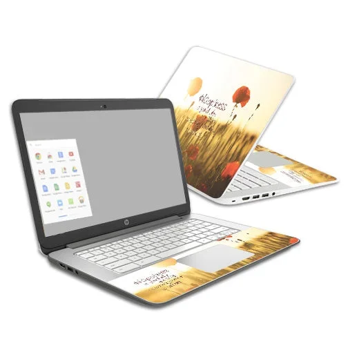 Be Happy Chromebook 14 (2014) Skin