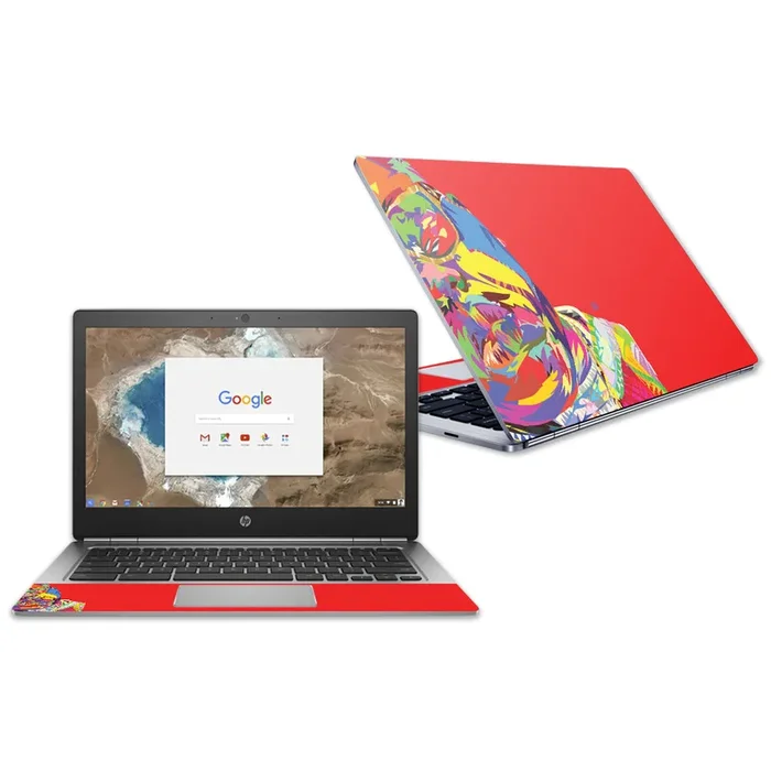 Big Papa Chromebook G1 13.3″ (2018) Skin