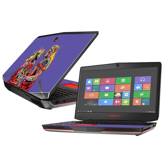 Black Cat And Worm 17″ (2015) Skin