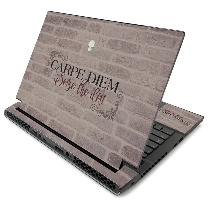Carpe Diem m17 R2 (2019) Skin