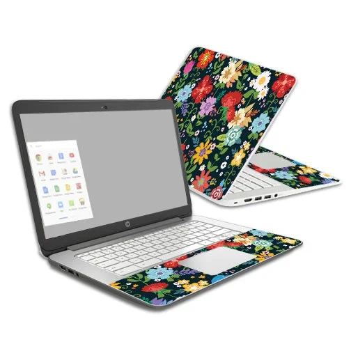 Cartoon Bloom Chromebook 14 (2014) Skin