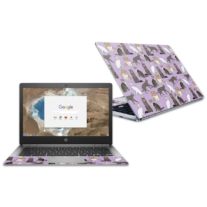 Cat Chaos Chromebook G1 13.3″ (2018) Skin