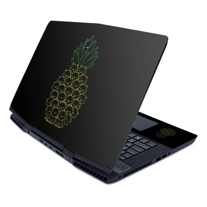 Cat Pineapple M17 (2019) Skin