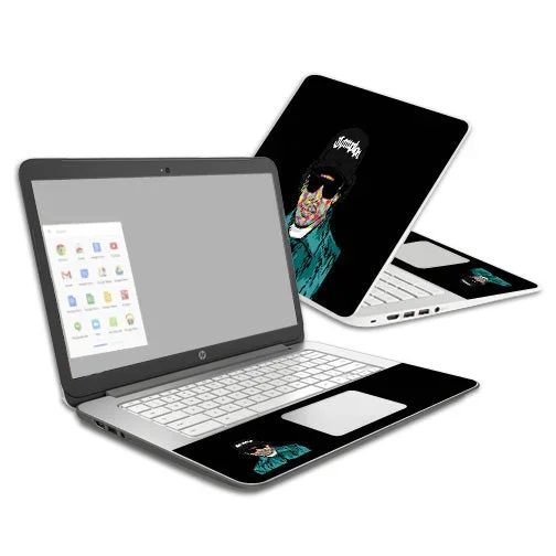 Compton Chromebook 14 (2014) Skin