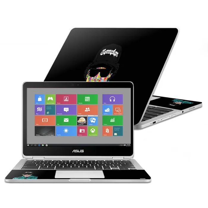 Compton Chromebook Flip C302CA 12.5″ (2016) Skin