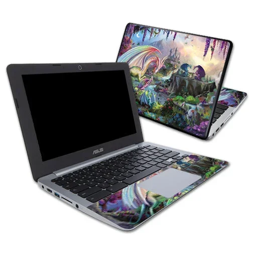 Dragon Paradise Chromebook 11.6″ Skin