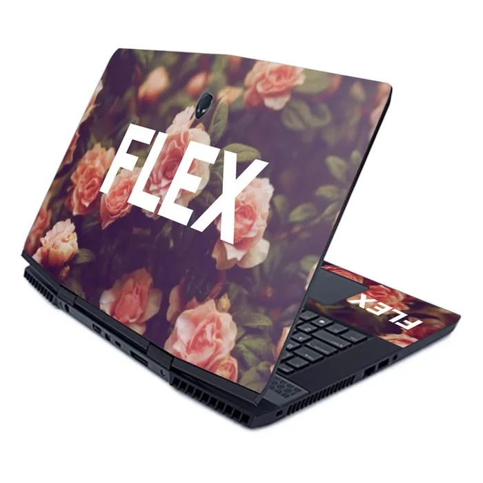 Flex M17 (2019) Skin