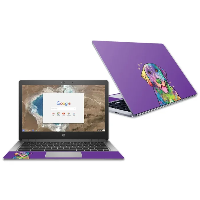 Golden Retriever Rainbow Chromebook G1 13.3″ (2018) Skin