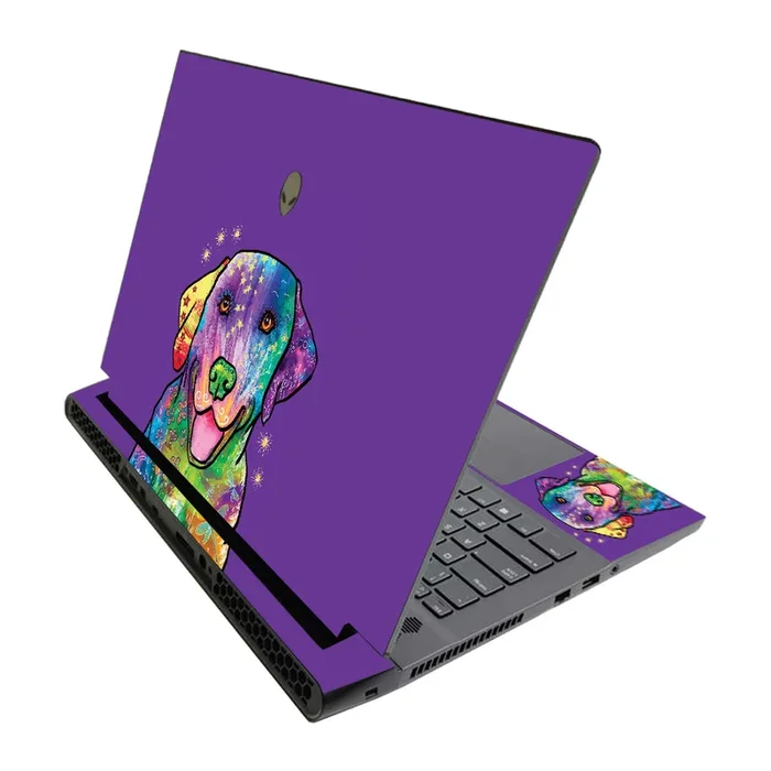 Golden Retriever Rainbow M17 R3 (2020) & M17 R4 (2021) Skin