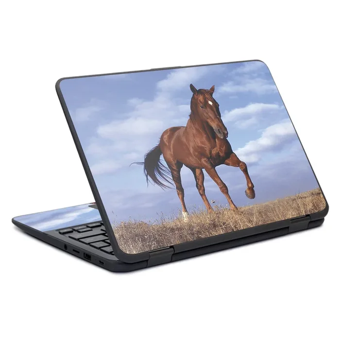 Horse Chromebook x360 11″ G11 (2017) Skin