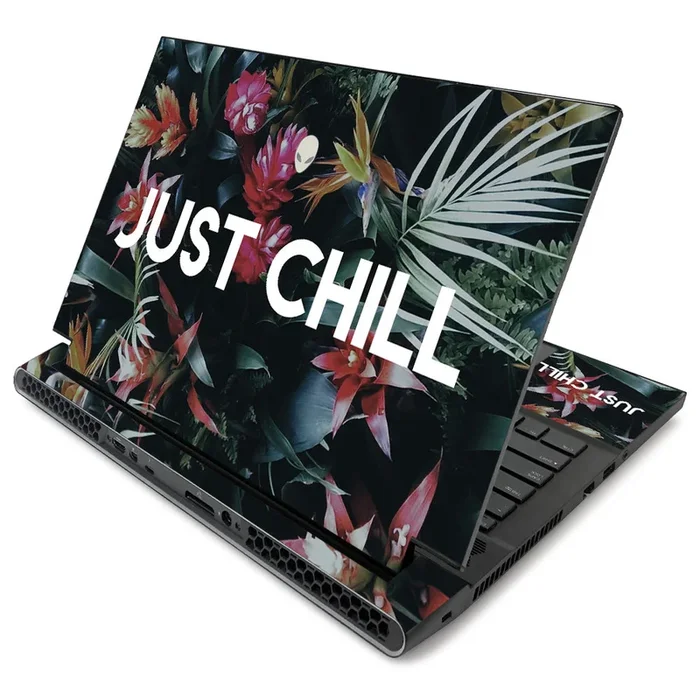 Just Chill m17 R2 (2019) Skin