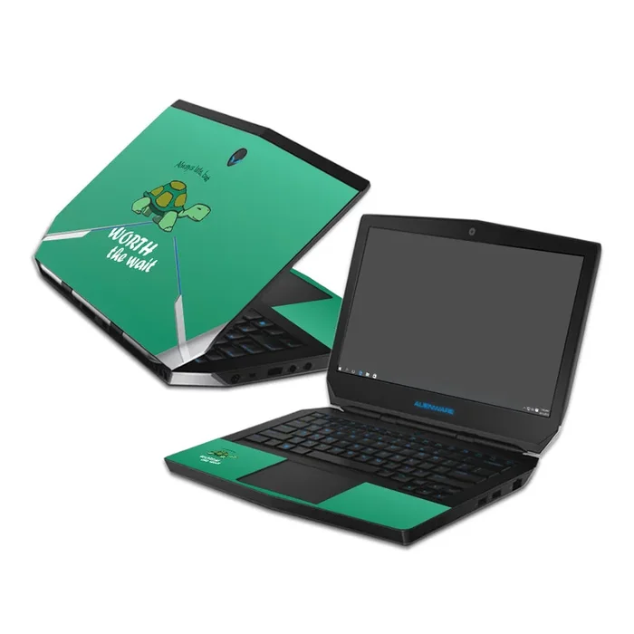 Late Turtle 13″ (2015) Skin