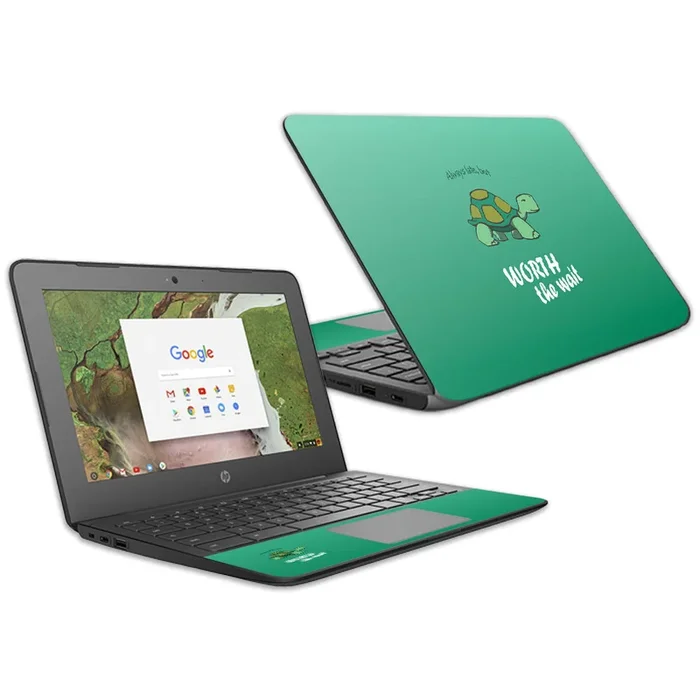 Late Turtle Chromebook G6 11.6″ (2018) Skin