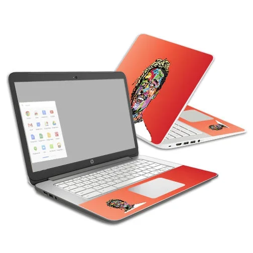 Money Longer Chromebook 14 (2014) Skin
