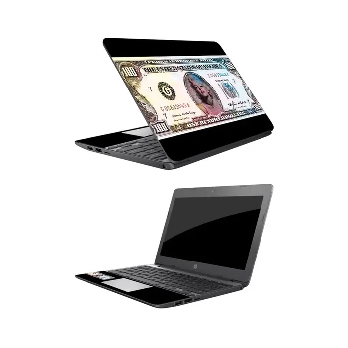 Monroe Currency Chromebook 11.6″ (2018) Skin