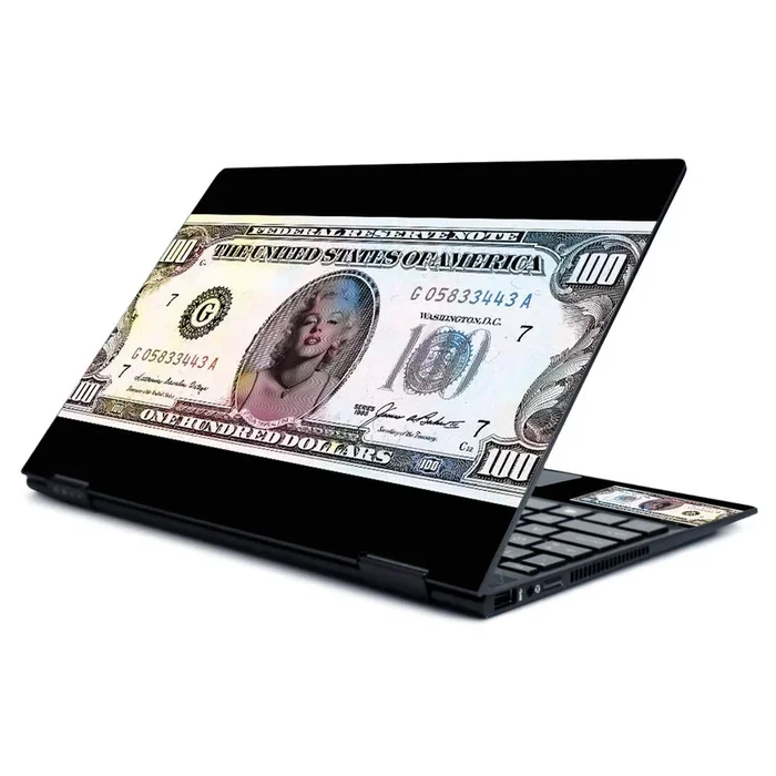 Monroe Currency Envy x360 13″ (2019) Skin