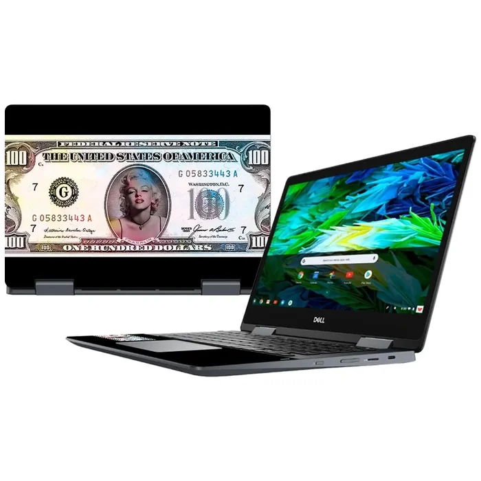Monroe Currency Inspiron Chromebook 14″ (2018) Skin