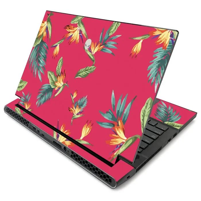 Paradise m17 R2 (2019) Skin