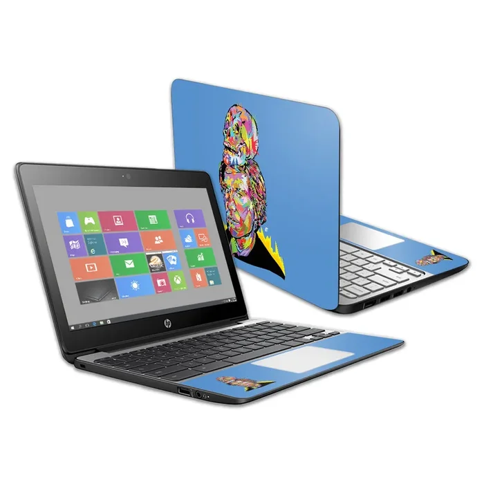 Pop Art Skull Chromebook 11 G5 11.6″ Skin