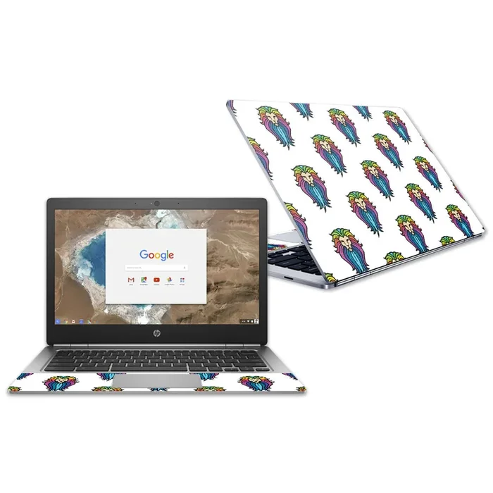 Rainbow Lion Chromebook G1 13.3″ (2018) Skin