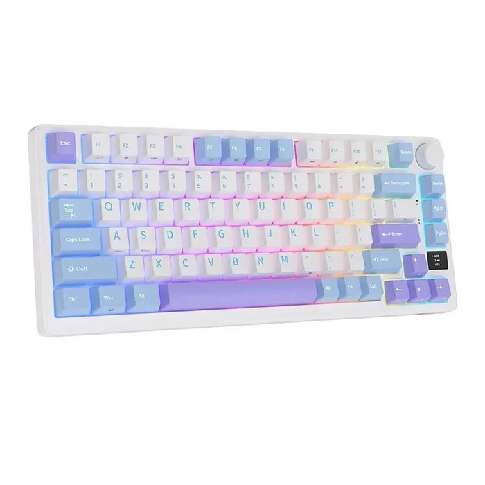 ROYAL KLUDGE RK M75 75% RGB Mechanical Wireless Gaming Keyboard ( Taro MIlk ) ( Tactile Brown Switch )