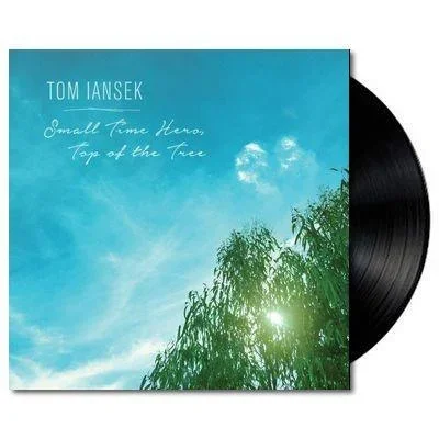 Small Town Hero, Top Of The Tree (Vinyl)