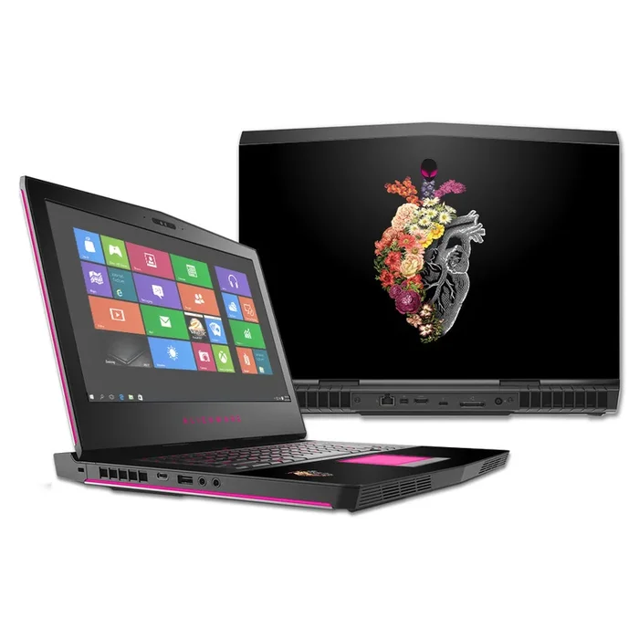 Spring Heart 17″ (2016) Skin