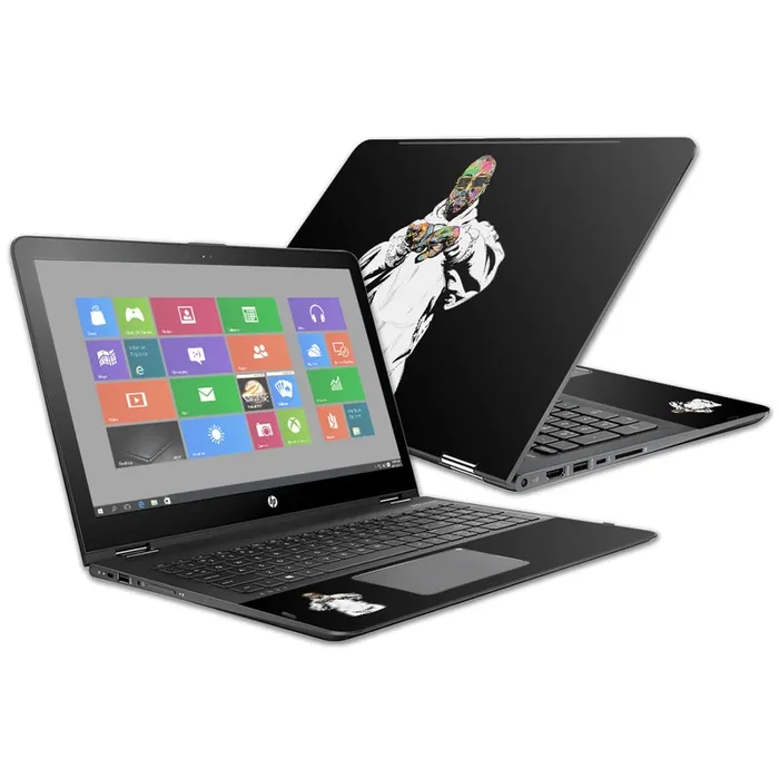 Sunday Choir Envy x360 15z 15″ (2016) Skin