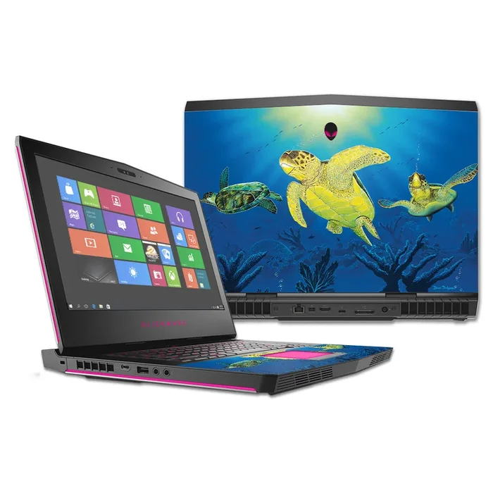 Turtle Dreams 17″ (2016) Skin