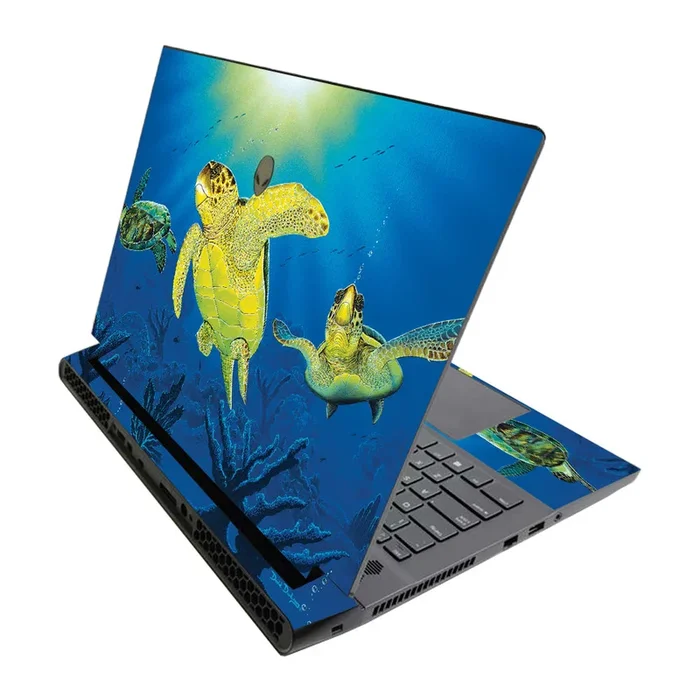 Turtle Dreams M17 R3 (2020) & M17 R4 (2021) Skin