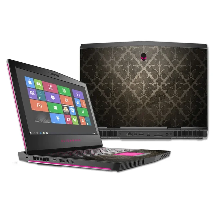 Vintage Elegance 17″ (2016) Skin