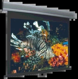 Vutec Econo Pro Manual Wall Front Projection Screen 92-Inch 16:9 Format